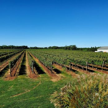 Bedell Cellars - 9/23/2022 - Wineries Near Me - Cutchogue, New York Bedell Cellars - 9/23/2022 - Wineries Near Me - Cutchogue, New York