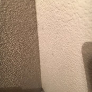 San Francisco Green Clean - Spider webs and dust - Home Cleaning Near Me San Francisco Green Clean - Spider webs and dust - Home Cleaning Near Me