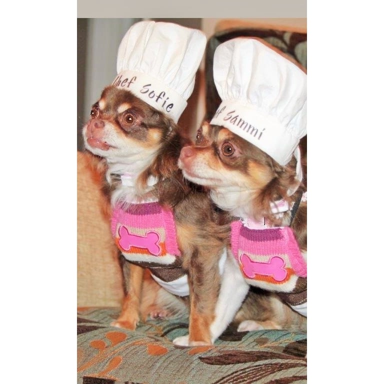 Sammi & Sofie's Wholesome Treats Image