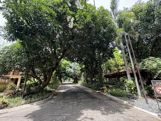 Club Balai Isabel by null