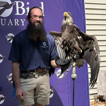 World Bird Sanctuary - Bald eagle - bird show 9/20/26 - Parks Near Me - Valley Park, Missouri World Bird Sanctuary - Bald eagle - bird show 9/20/26 - Parks Near Me - Valley Park, Missouri