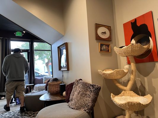 Whiskers & Wine Cat Cafe by null