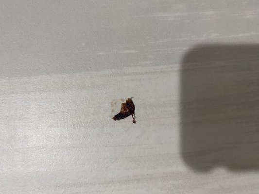 Quality Inn & Suites Gilroy by null