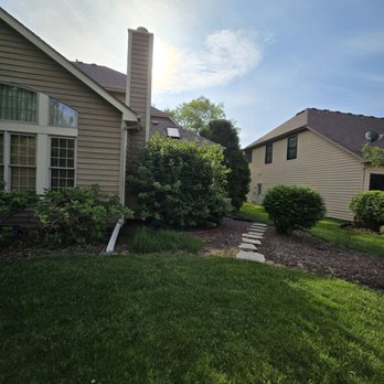 2 Brothers Tree Service - Before #1 - Tree Services Near Me