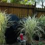 Photo of Earl Thieneman Garden Center