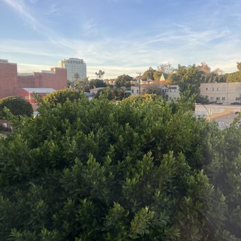 Avalon Hotel Beverly Hills - View from our room - Hotels Near Me - Beverly Hills, California Avalon Hotel Beverly Hills - View from our room - Hotels Near Me - Beverly Hills, California