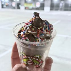 Jeremiah's Italian Ice - Chocolate ice cream with rainbow sprinkles