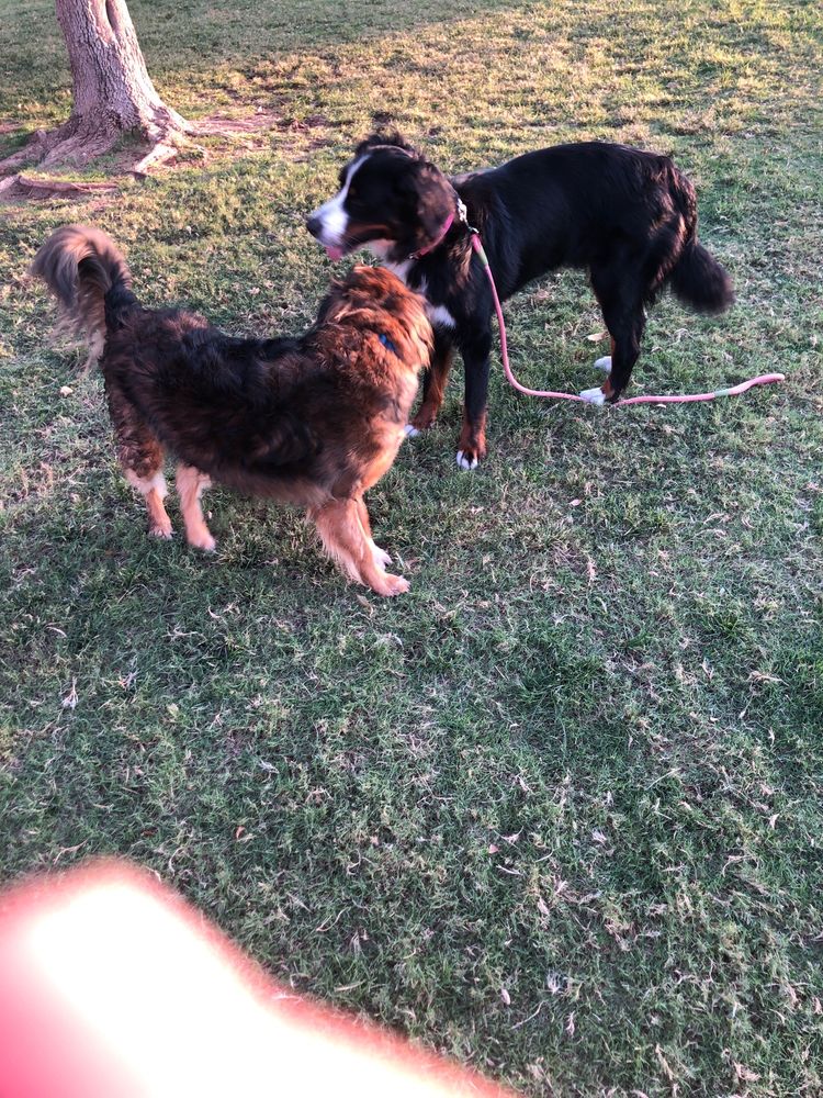 CREAMERY PARK Updated August 2024 11 Reviews 16001766 E 8th St