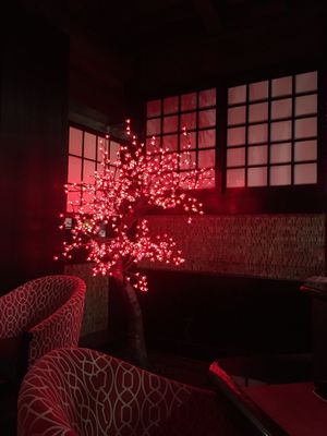 Bar Sake & Robata Grill by null