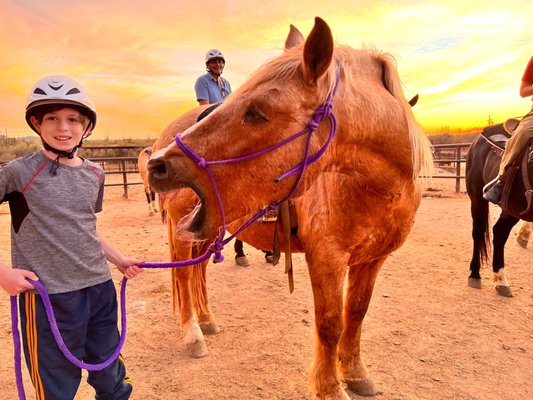 Tanque Verde Ranch by null