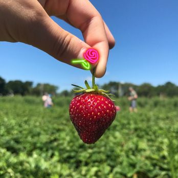 Ward's Berry Farm - Delis Near Me - Sharon, Massachusetts Ward's Berry Farm - Delis Near Me - Sharon, Massachusetts