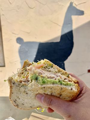 The Deli Llama by null