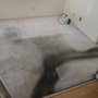 Revival Restoration & Floor Care