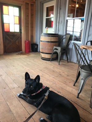 Lazy Bear Brewing by null