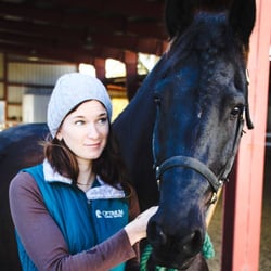 Optimum Saddle Services