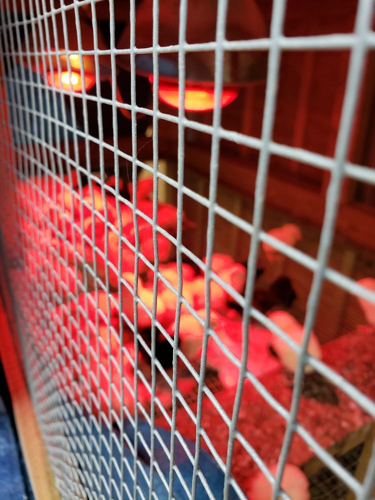 UNDER THE PINES FARM Updated August 2024 17 Photos 3681 S