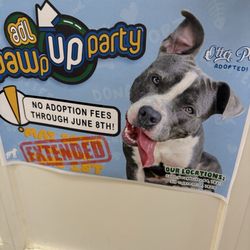 Paul Jolly Center for Pet Adoption