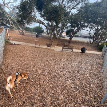 William Pacchetti Dog Park - Small dog area. - Dog Parks Near Me - Seaside, California