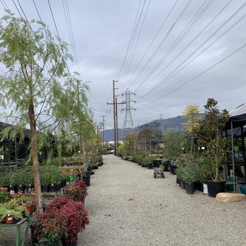 Present Perfect - Nurseries & Gardening Near Me - Pasadena, California