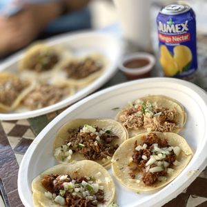 Tried And True Denver