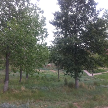 Commons Park - The grove - Parks Near Me - Denver, Colorado