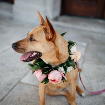 Flowers for Dreams - Florists Near Me - Milwaukee, Wisconsin Flowers for Dreams - Florists Near Me - Milwaukee, Wisconsin