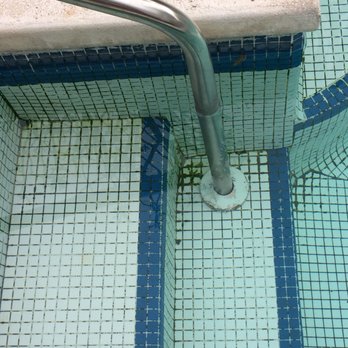 Heron House - Algae in the pool. Yuck! - Guest Houses Near Me - Key West, Florida Heron House - Algae in the pool. Yuck! - Guest Houses Near Me - Key West, Florida