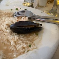 Etna Restaurant & Wine Bar - Risotto, questionable mussel