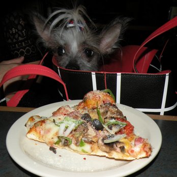 Organ Stop Pizza - Chinese hairless "Sindoni" at Organ Stop with her combo pizza. - Pizza Near Me - Mesa, Arizona