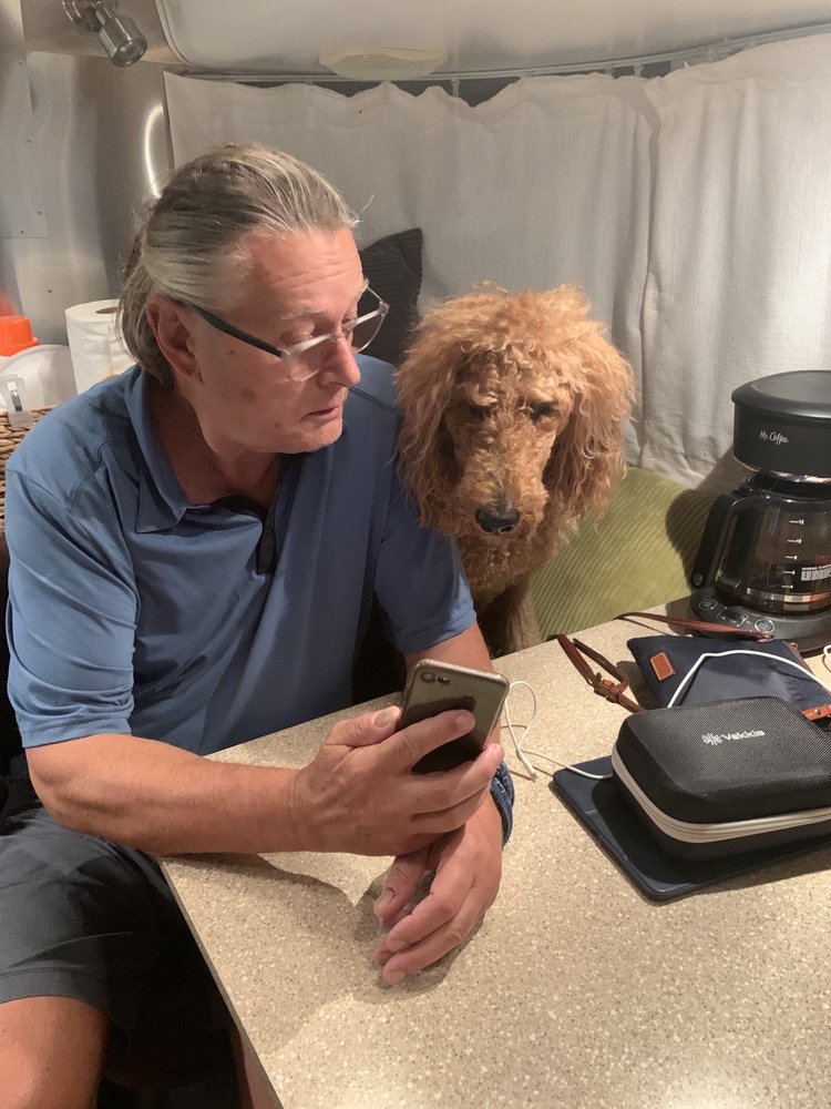 POCONO PETSNSTUFF Updated August 2024 11 Reviews 2571 Milford