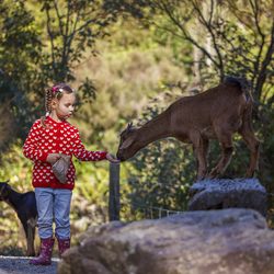 Staglands Wildlife Reserve