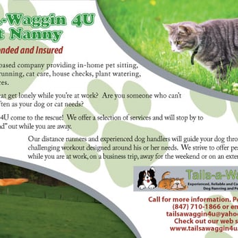 Tails-a-Waggin 4U - Dog Walkers Near Me Tails-a-Waggin 4U - Dog Walkers Near Me