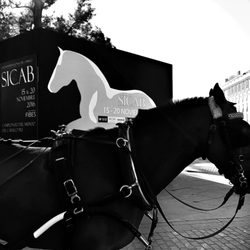 FIBES - Palacio de Congresos de Sevilla - Sicab