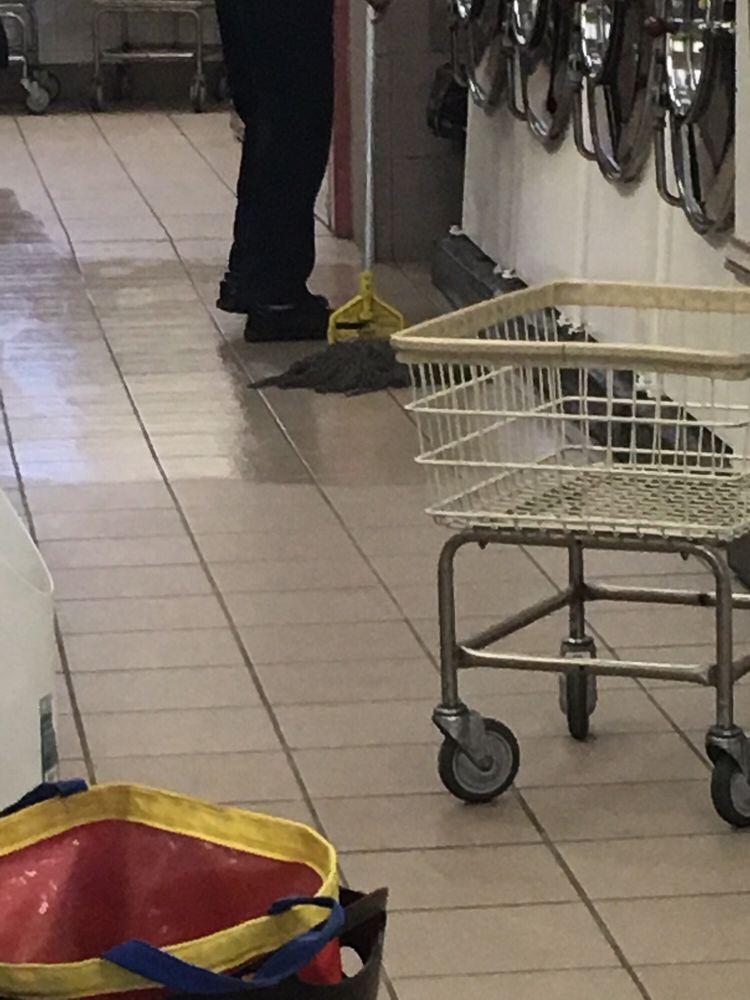 SEC LAUNDROMAT Updated September 2024 3401 Edgmont Ave, Brookhaven