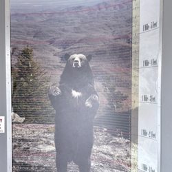 Grandfather Mountain - When you get off the elevator at the gift shop at the very top of grandfather Mountain