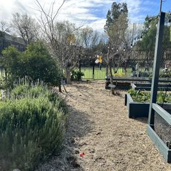Anneliese's School - Gardening area