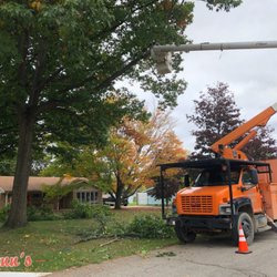Flynn's - Tree Trimming