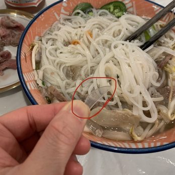 Saigon Kitchen - Ordered pick up to eat at home. Heated up my pho and this is what I've found!!! A plastic piece on my pho soup!! - Vietnamese Near Me - Fort Lee, New Jersey Saigon Kitchen - Ordered pick up to eat at home. Heated up my pho and this is what I've found!!! A plastic piece on my pho soup!! - Vietnamese Near Me - Fort Lee, New Jersey