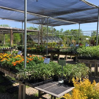 Macon Gardens - Nurseries & Gardening Near Me - Wake Forest, North Carolina Macon Gardens - Nurseries & Gardening Near Me - Wake Forest, North Carolina