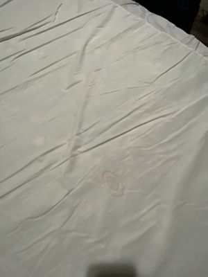 Mountain Lake Lodge by null