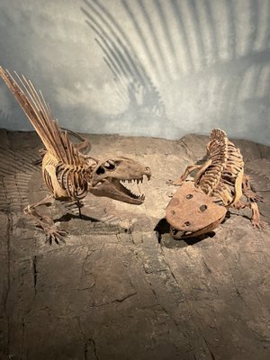 Denver Museum of Nature & Science by null