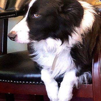 Chiropractic Wellness Group - Beautiful Lucy - Chiropractors Near Me - Pasadena, California Chiropractic Wellness Group - Beautiful Lucy - Chiropractors Near Me - Pasadena, California