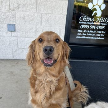CHINO HILLS ANIMAL HOSPITAL & PET RESORT - Updated August 2024 - 657