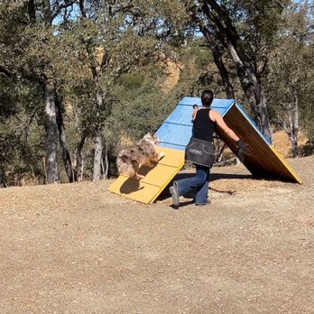 The Canine Ranch - Pet Training Near Me - Copperopolis, California The Canine Ranch - Pet Training Near Me - Copperopolis, California