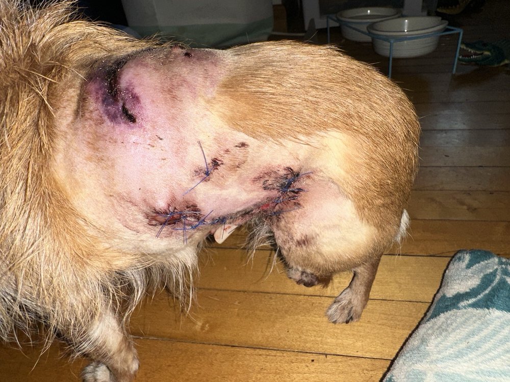 Sunset Stables - equestrian in Lincoln, RI