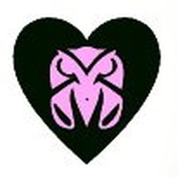 Night Owl Lingerie - Night Owl Imports