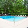 Photo of Lory of Harbison, The