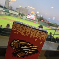 Fresno Grizzlies
