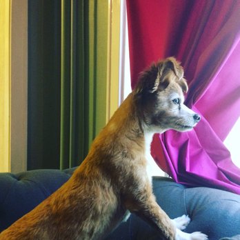 Dr Marchi - Pet Euthanasia at Home - Best kid ever. - Veterinarians Near Me - Long Beach, California Dr Marchi - Pet Euthanasia at Home - Best kid ever. - Veterinarians Near Me - Long Beach, California