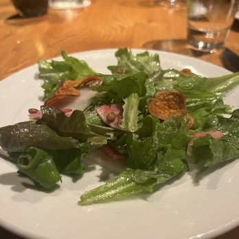 The Establishment - Perfectly dressed fresh as could be salad - Seafood Near Me - Charleston, South Carolina The Establishment - Perfectly dressed fresh as could be salad - Seafood Near Me - Charleston, South Carolina